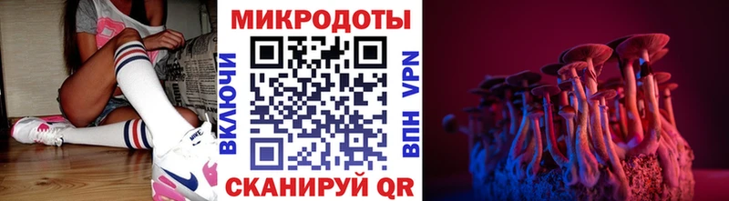 Псилоцибиновые грибы GOLDEN TEACHER  купить наркоту  Красногорск 